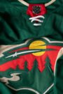 Minnesota Wild Fanatics Green Home