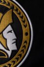 Ottawa Senators Black Home